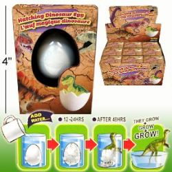 // OEUF DE DINOSAURE QUI GRANDIT PETIT FORMAT 4